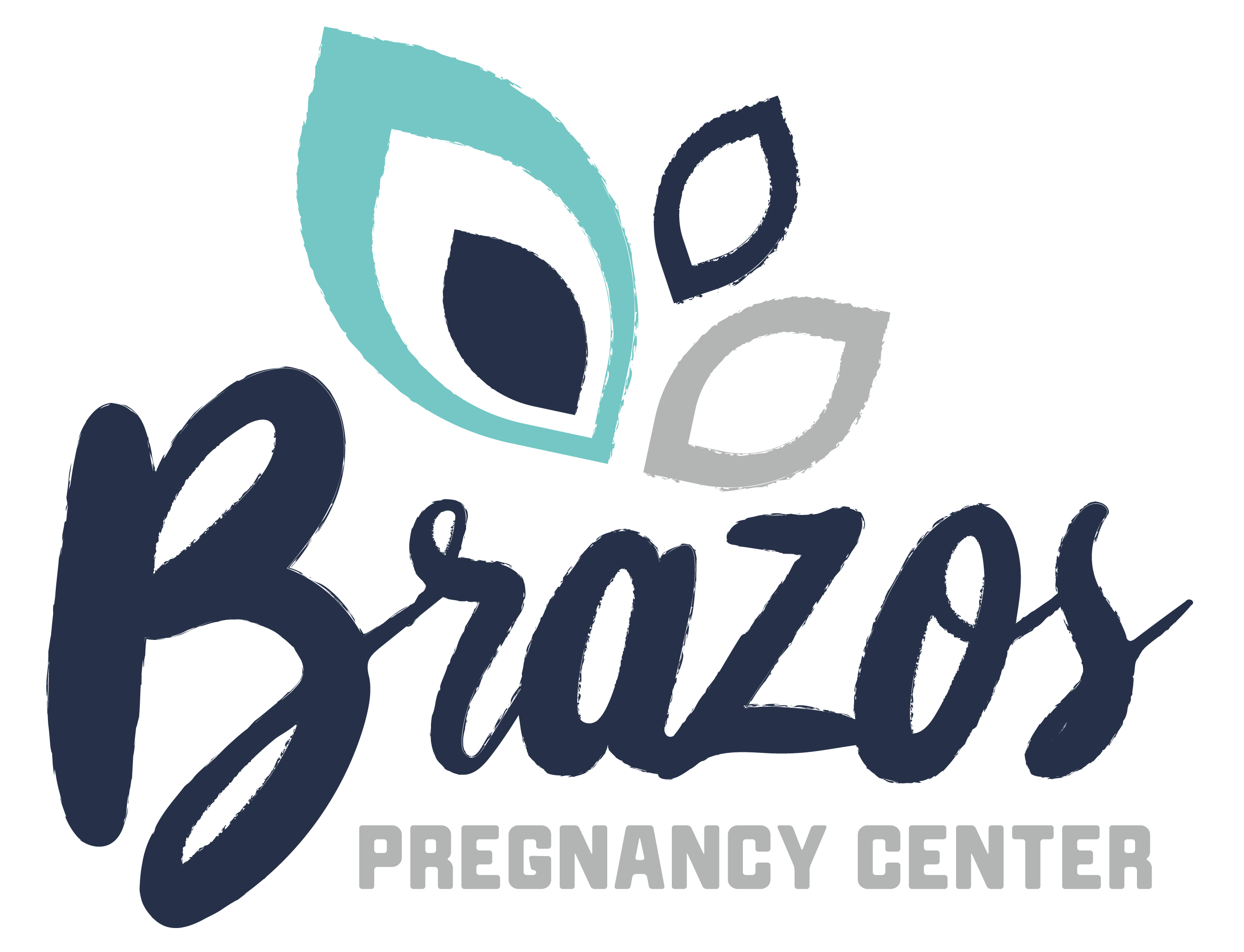 Brazos Pregnancy Center Granbury TX Sexual Health